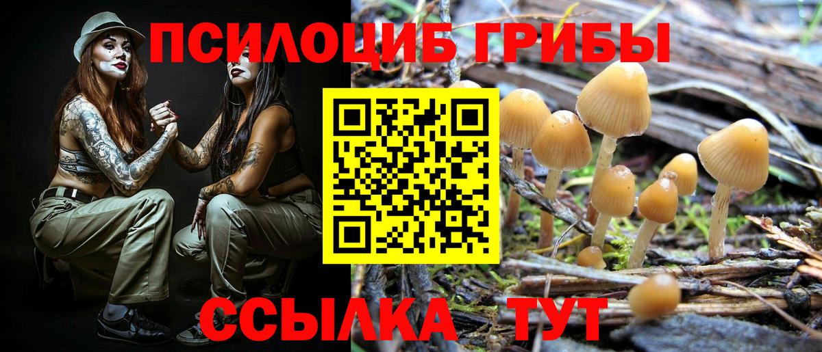 Галлюциногенные грибы мицелий Карасук